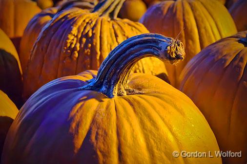 Autumn Pumpkins_18052.jpg - Photographed at Smiths Falls, Ontario, Canada.
